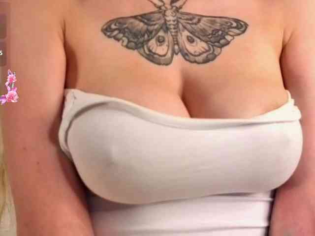 FlutterShay webcam