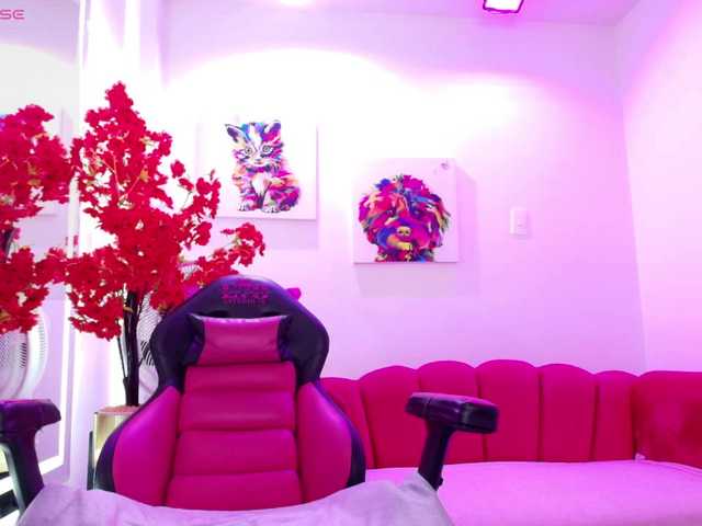 Miss-dolly live cam on BongaCams