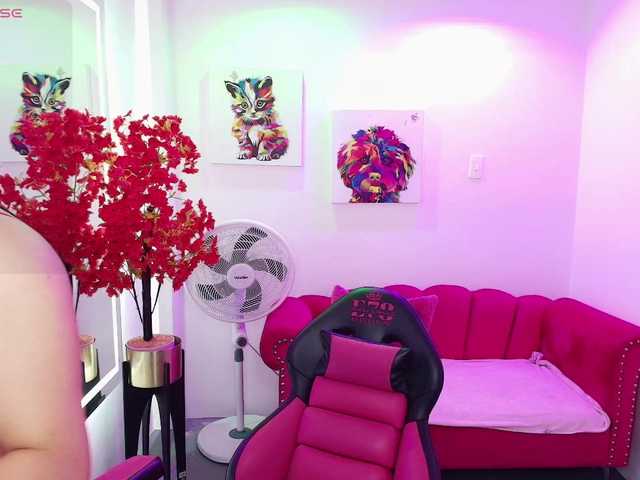 Miss-dolly live cam on BongaCams