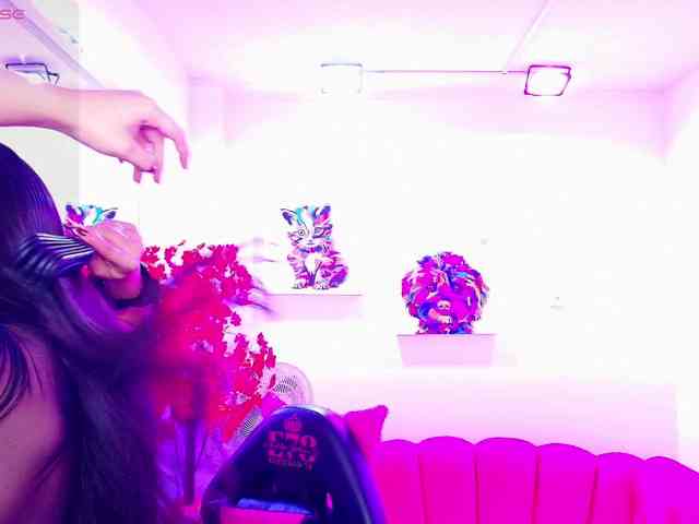 Miss-dolly webcam