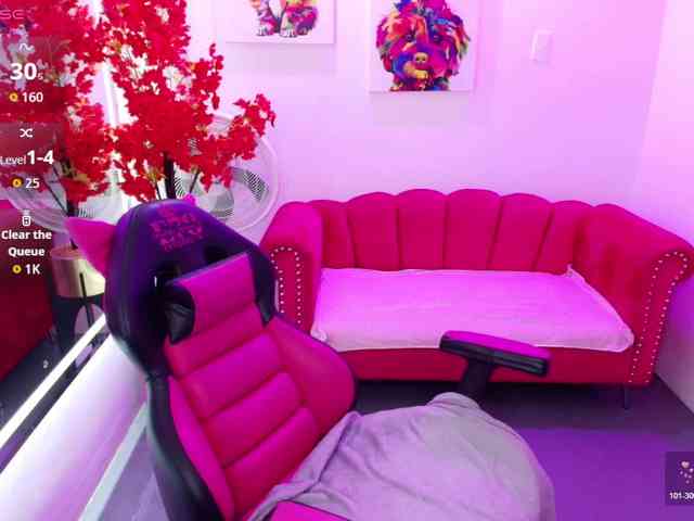 Miss-dolly webcam