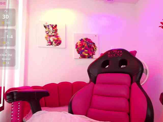 Miss-dolly webcam