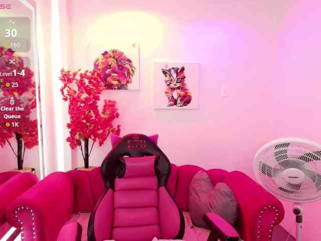 Miss-dolly webcam