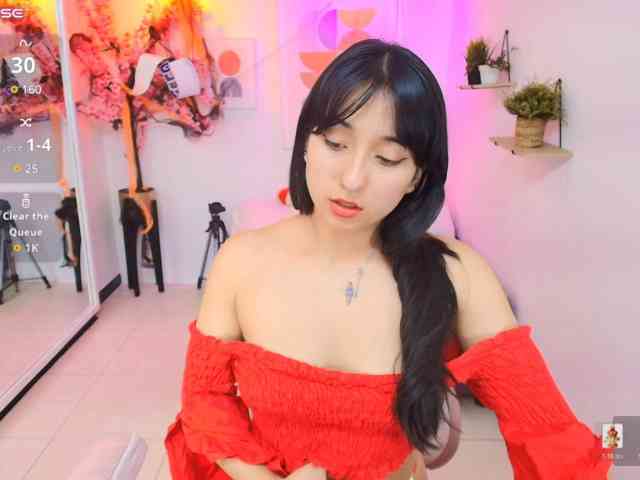 Miss-dolly webcam