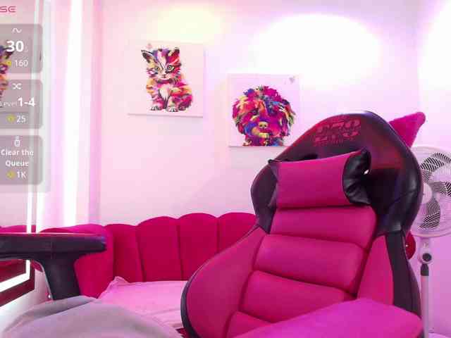 Miss-dolly webcam