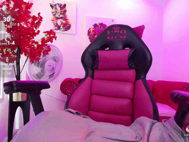 Miss-dolly webcam