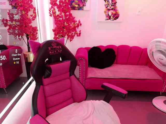 Miss-dolly webcam