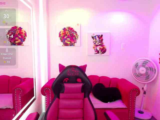 Miss-dolly webcam