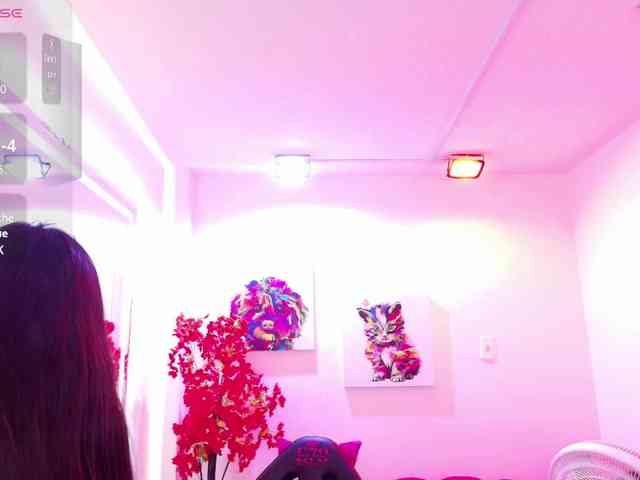 Miss-dolly webcam