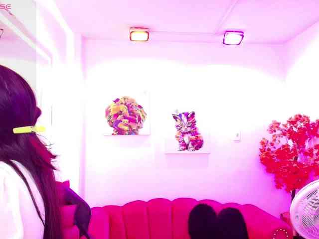 Miss-dolly webcam