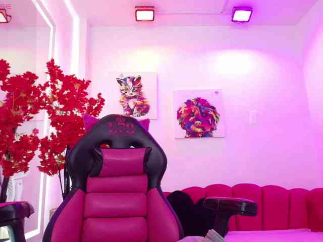 Miss-dolly webcam