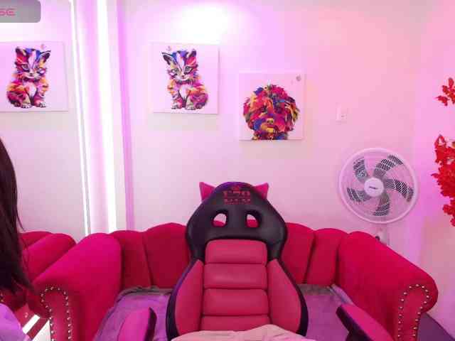 Miss-dolly webcam