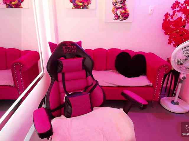 Miss-dolly webcam