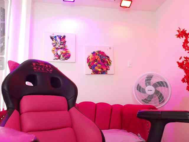 Miss-dolly webcam