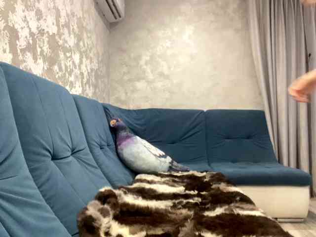 MilaMill webcam