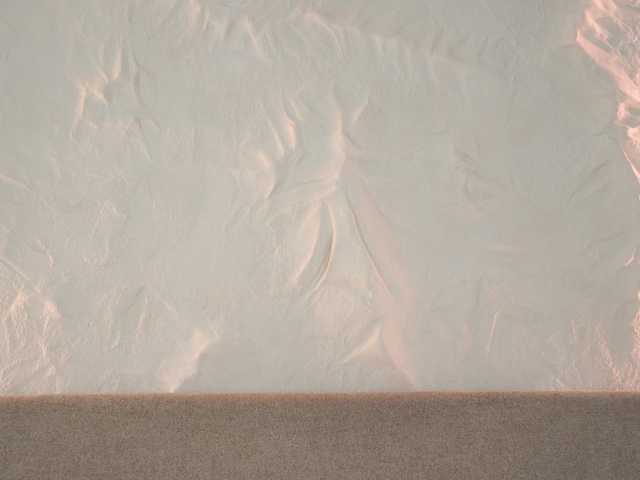 MissSophiie live cam
