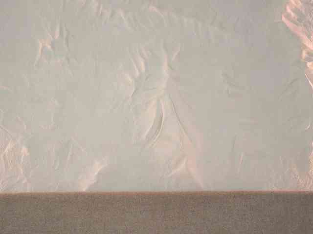 MissSophiie webcam