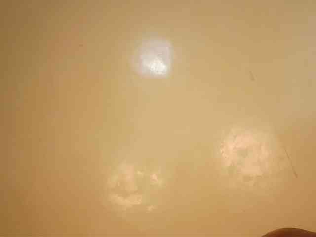 cute-mesh webcam