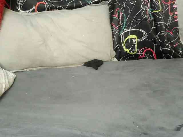 cute-mesh webcam