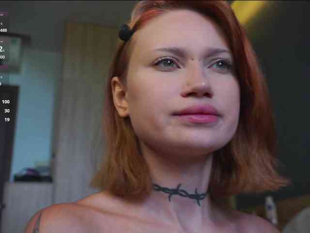 Adalheidis webcam