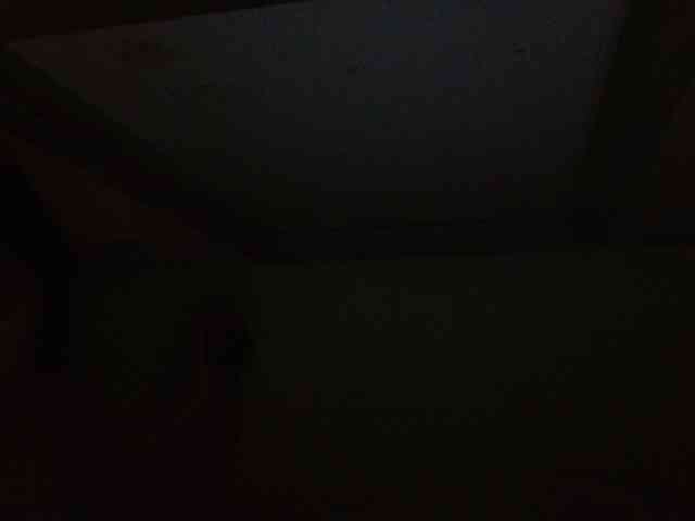 yourbabeaa webcam