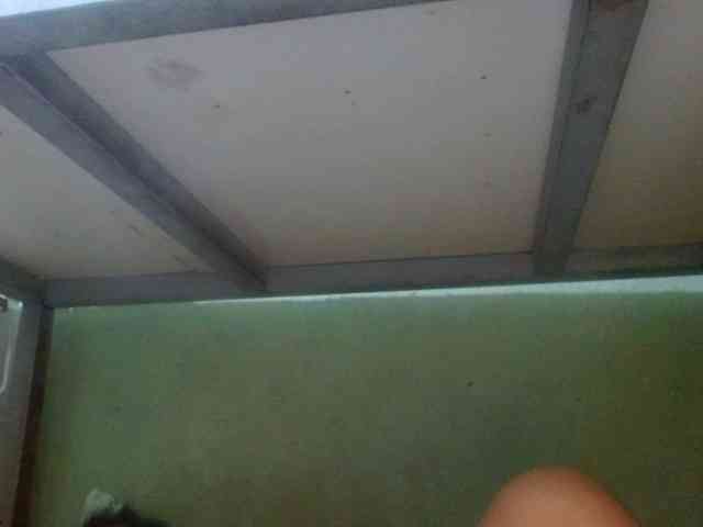 yourbabeaa webcam