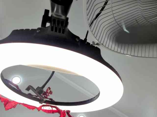 ainel-kim webcam