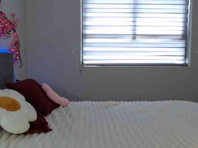 Krispyshot webcam