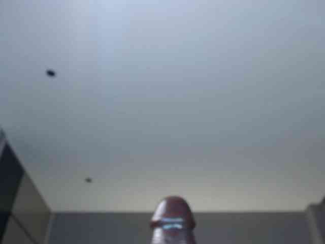 Krispyshot webcam