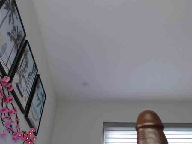 Krispyshot webcam