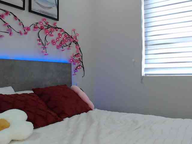 Krispyshot webcam