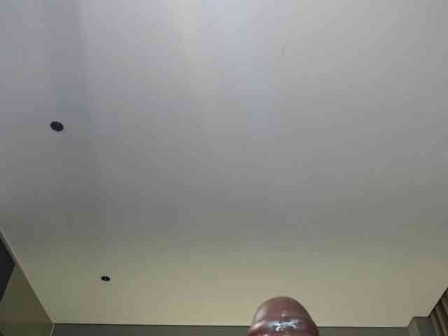 Krispyshot webcam