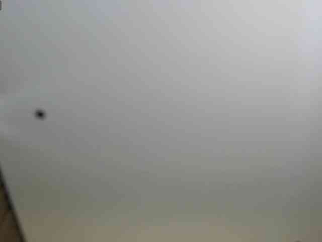 Krispyshot webcam