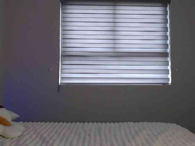 Krispyshot webcam