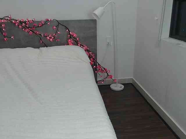 Krispyshot webcam