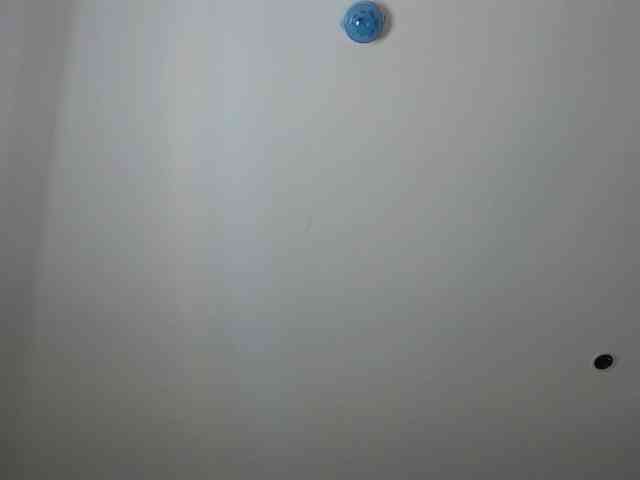 Krispyshot webcam