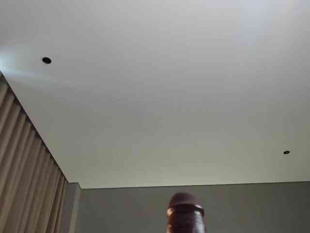 Krispyshot webcam