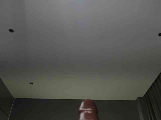 Krispyshot webcam