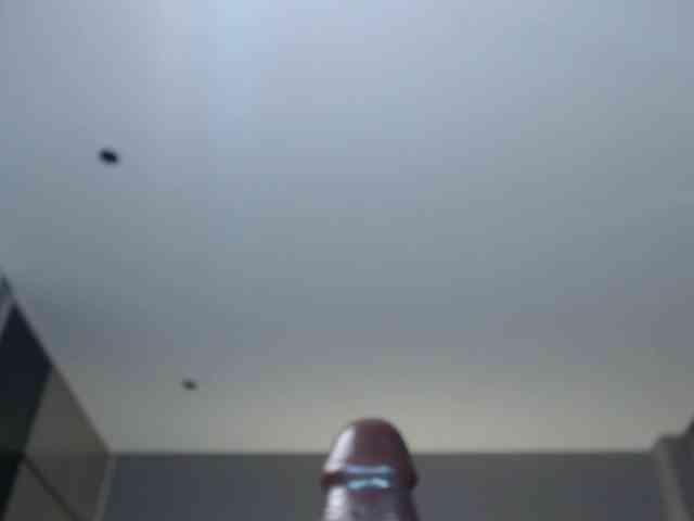 Krispyshot webcam