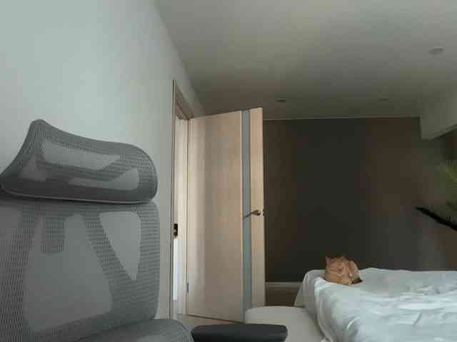 monnymoonn webcam