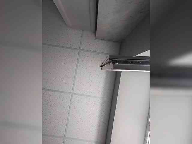 Tvoya_stervo4ka webcam