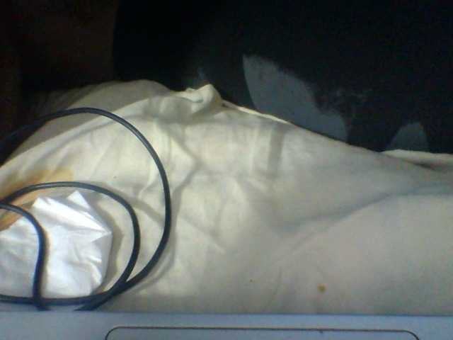 Niella1 live cam on BongaCams