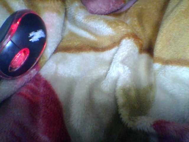Niella1 live cam on BongaCams