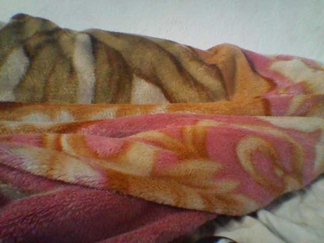 Niella1