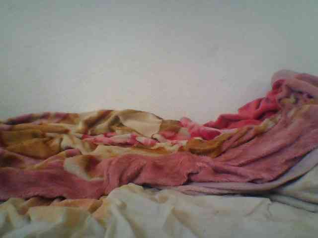 Niella1 webcam