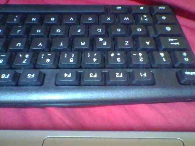 Niella1 webcam