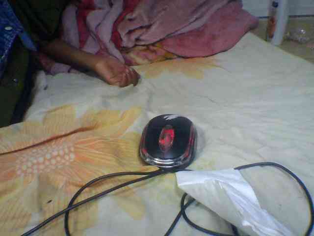 Niella1 webcam