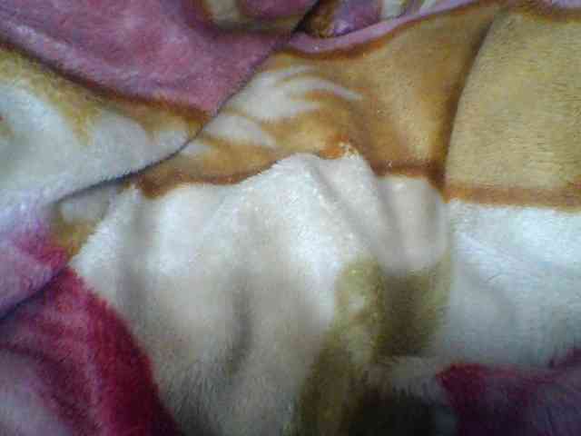 Niella1 webcam