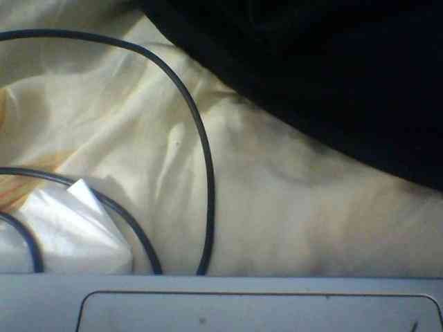 Niella1 webcam