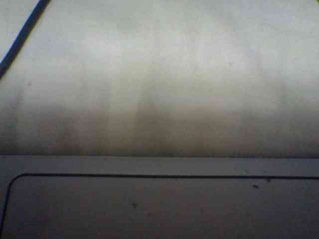 Niella1 webcam